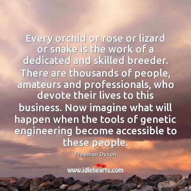 Every orchid or rose or lizard or snake is the work of Image