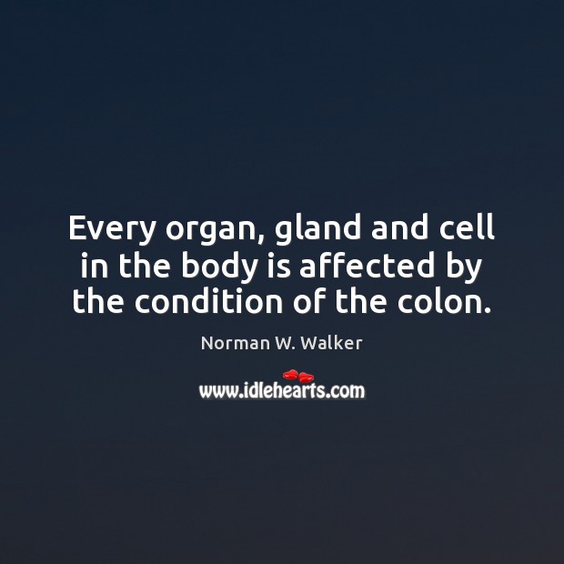 Every organ, gland and cell in the body is affected by the condition of the colon. Norman W. Walker Picture Quote