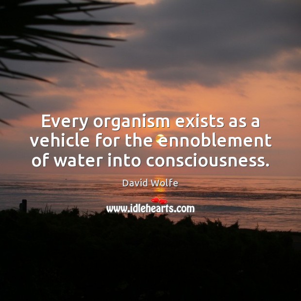 Every organism exists as a vehicle for the ennoblement of water into consciousness. Image