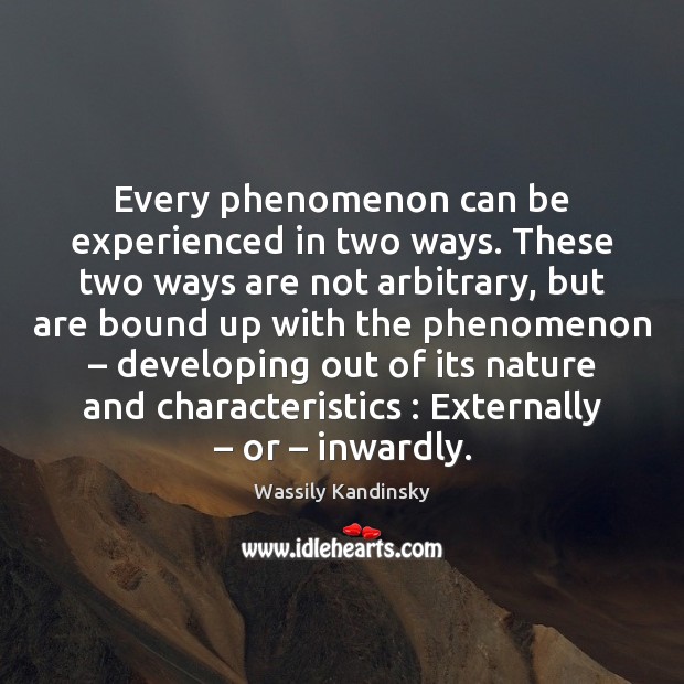 Every phenomenon can be experienced in two ways. These two ways are Wassily Kandinsky Picture Quote