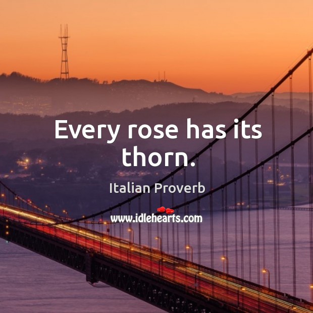 Every rose has its thorn. Image