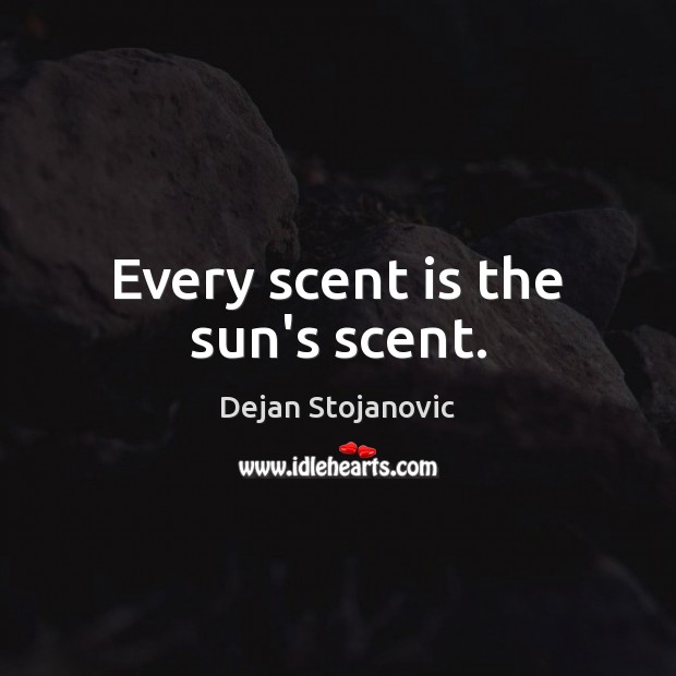 Every scent is the sun’s scent. Dejan Stojanovic Picture Quote