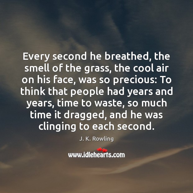 Every second he breathed, the smell of the grass, the cool air Image