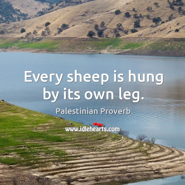 Every sheep is hung by its own leg. Palestinian Proverbs Image