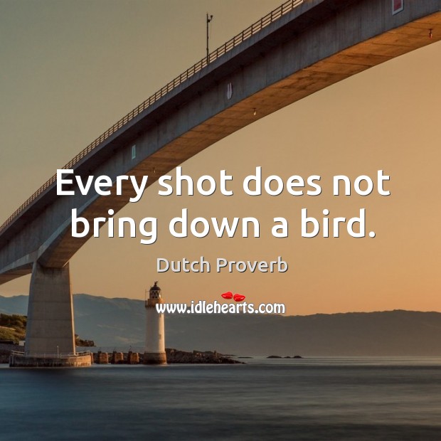 Every shot does not bring down a bird. Image