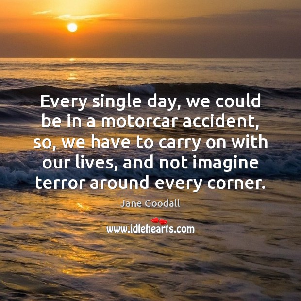 Every single day, we could be in a motorcar accident, so, we Jane Goodall Picture Quote