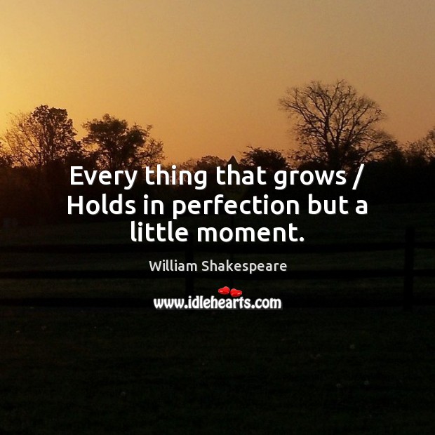 Every thing that grows / Holds in perfection but a little moment. William Shakespeare Picture Quote