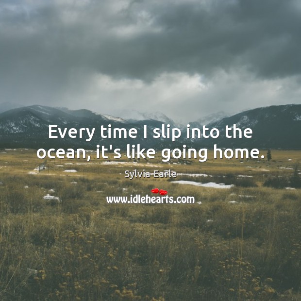 Every time I slip into the ocean, it’s like going home. Image
