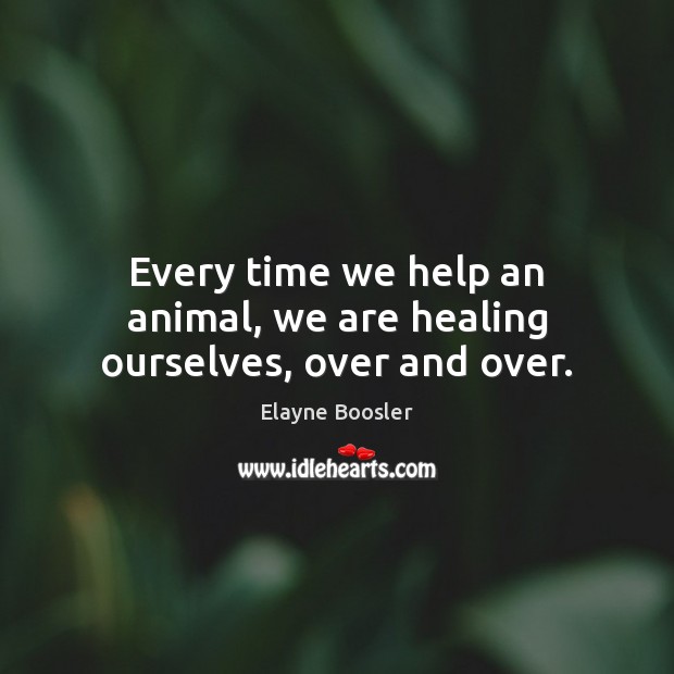 Every time we help an animal, we are healing ourselves, over and over. Elayne Boosler Picture Quote