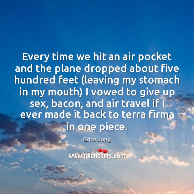 Every time we hit an air pocket and the plane dropped about Erica Jong Picture Quote