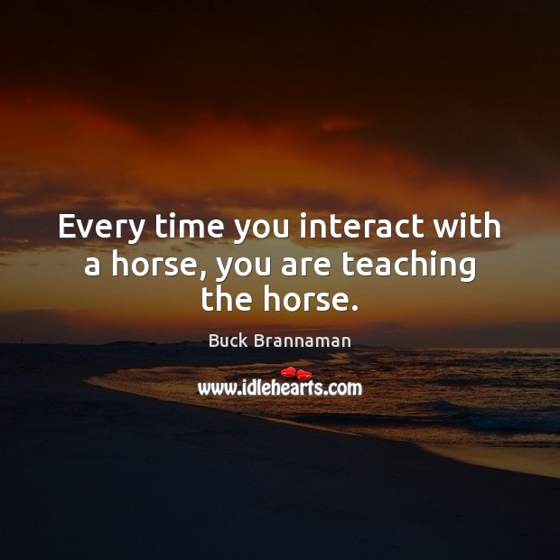 Every time you interact with a horse, you are teaching the horse. Buck Brannaman Picture Quote
