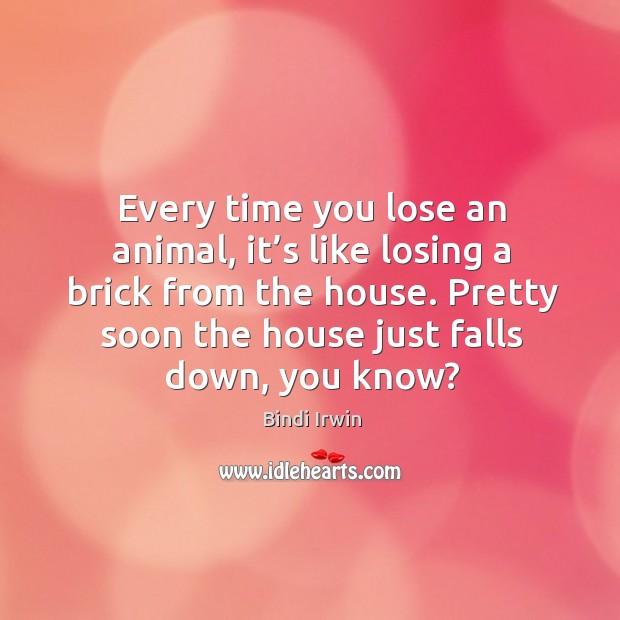Every time you lose an animal, it’s like losing a brick from the house. Bindi Irwin Picture Quote