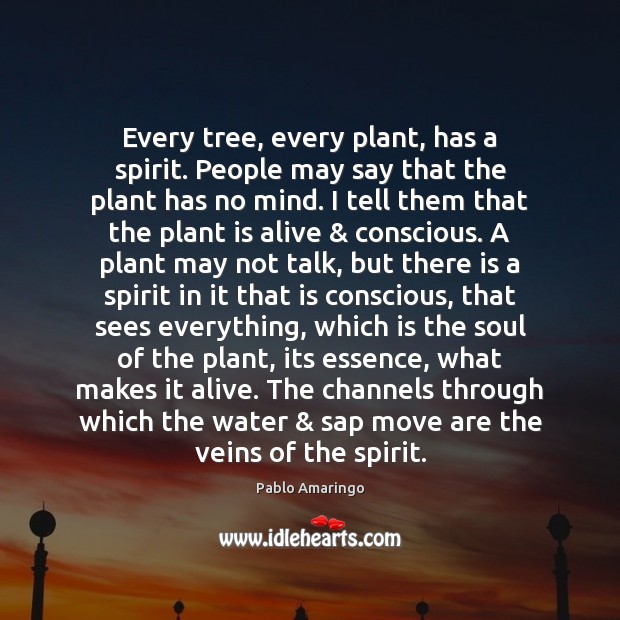 Every tree, every plant, has a spirit. People may say that the Pablo Amaringo Picture Quote