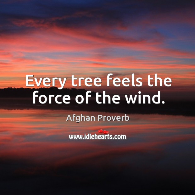 Every tree feels the force of the wind. Afghan Proverbs Image