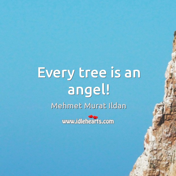 Every tree is an angel! Image