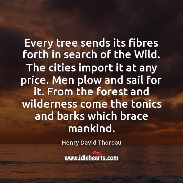 Every tree sends its fibres forth in search of the Wild. The Image