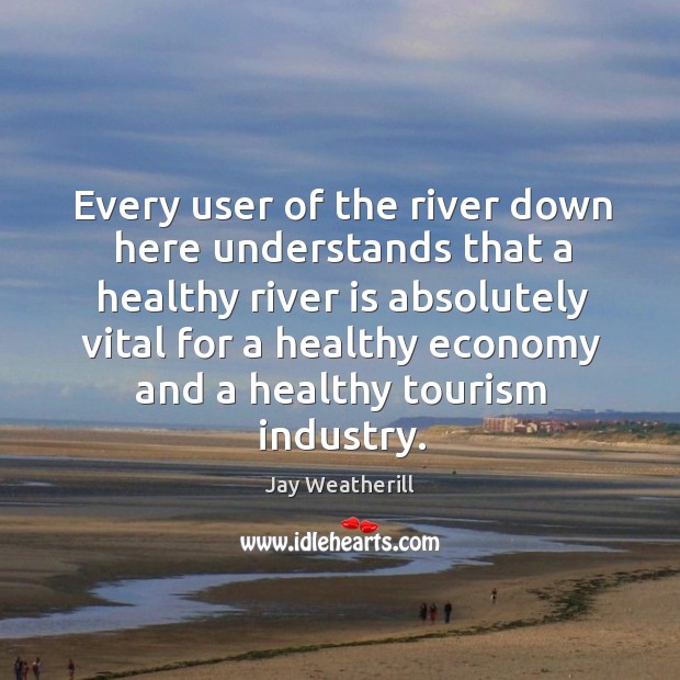 Every user of the river down here understands that a healthy river is absolutely vital for Jay Weatherill Picture Quote