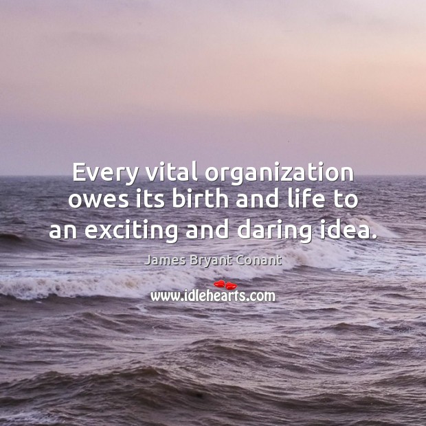 Every vital organization owes its birth and life to an exciting and daring idea. James Bryant Conant Picture Quote