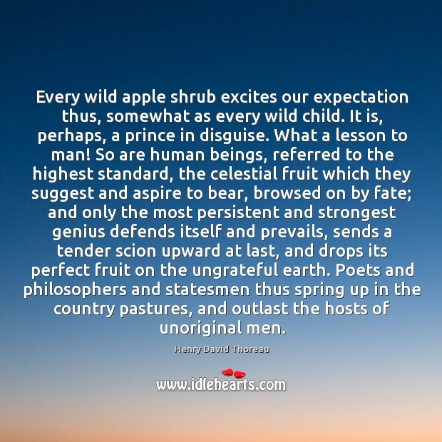 Every wild apple shrub excites our expectation thus, somewhat as every wild Image