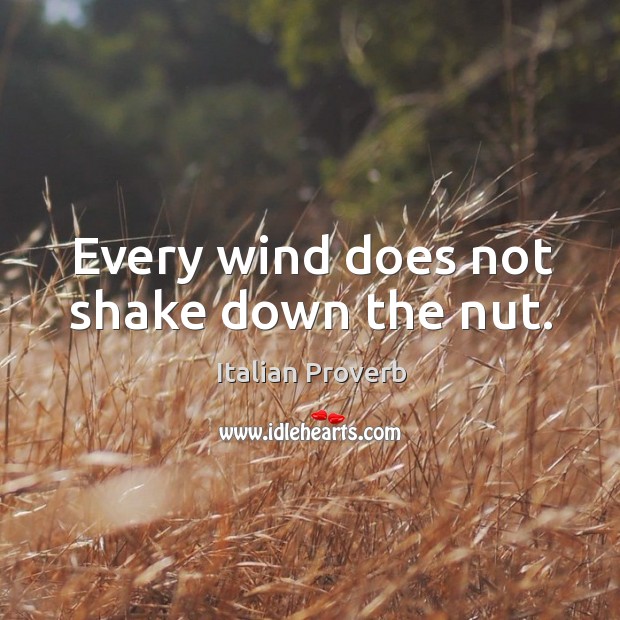 Every wind does not shake down the nut. Image