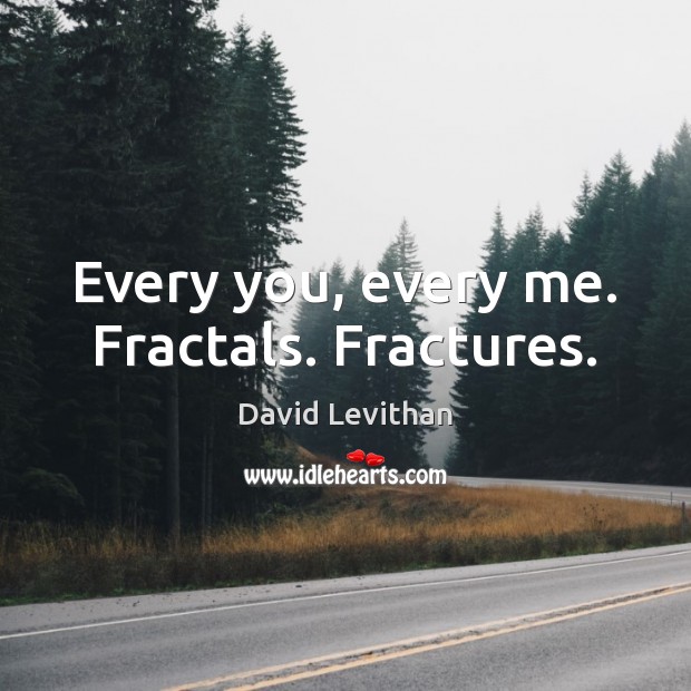 Every you, every me. Fractals. Fractures. David Levithan Picture Quote
