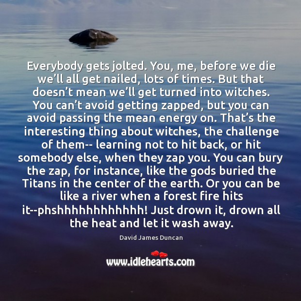 Everybody gets jolted. You, me, before we die we’ll all get David James Duncan Picture Quote