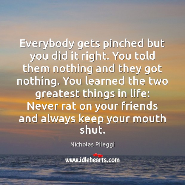Everybody gets pinched but you did it right. You told them nothing Nicholas Pileggi Picture Quote