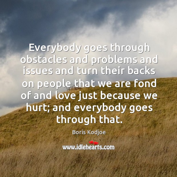 Everybody goes through obstacles and problems and issues and turn their backs on people that Boris Kodjoe Picture Quote