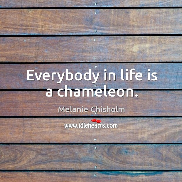 Everybody in life is a chameleon. Image