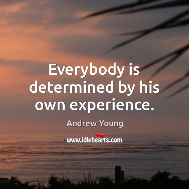 Everybody is determined by his own experience. Andrew Young Picture Quote