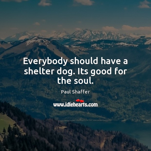 Everybody should have a shelter dog. Its good for the soul. Image