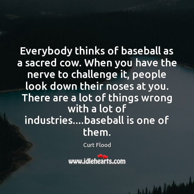 Everybody thinks of baseball as a sacred cow. When you have the 