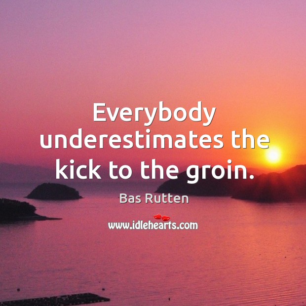 Everybody underestimates the kick to the groin. Bas Rutten Picture Quote
