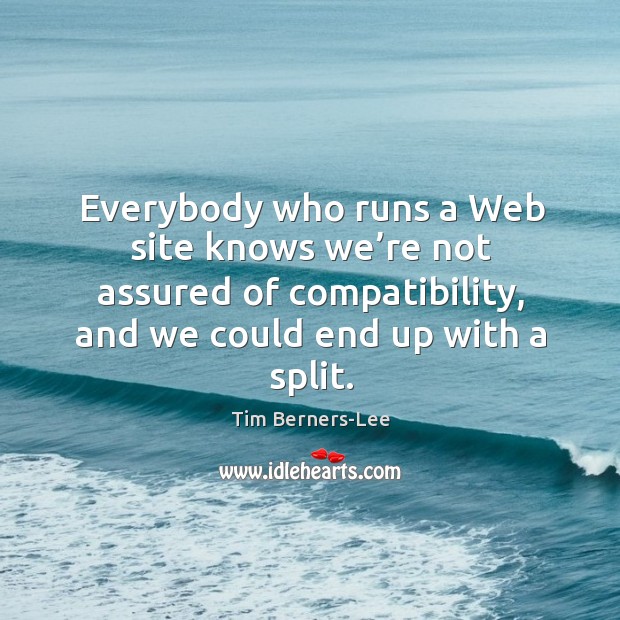 Everybody who runs a web site knows we’re not assured of compatibility, and we could end up with a split. Tim Berners-Lee Picture Quote