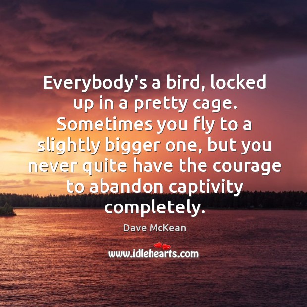 Everybody’s a bird, locked up in a pretty cage. Sometimes you fly Dave McKean Picture Quote