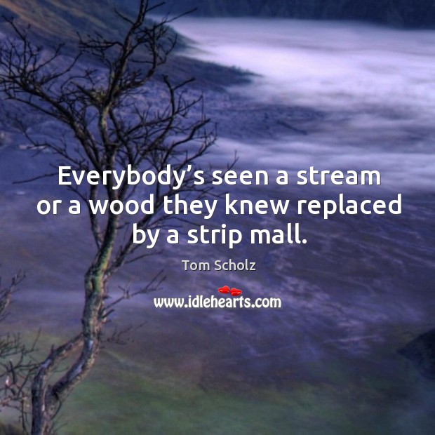 Everybody’s seen a stream or a wood they knew replaced by a strip mall. Tom Scholz Picture Quote