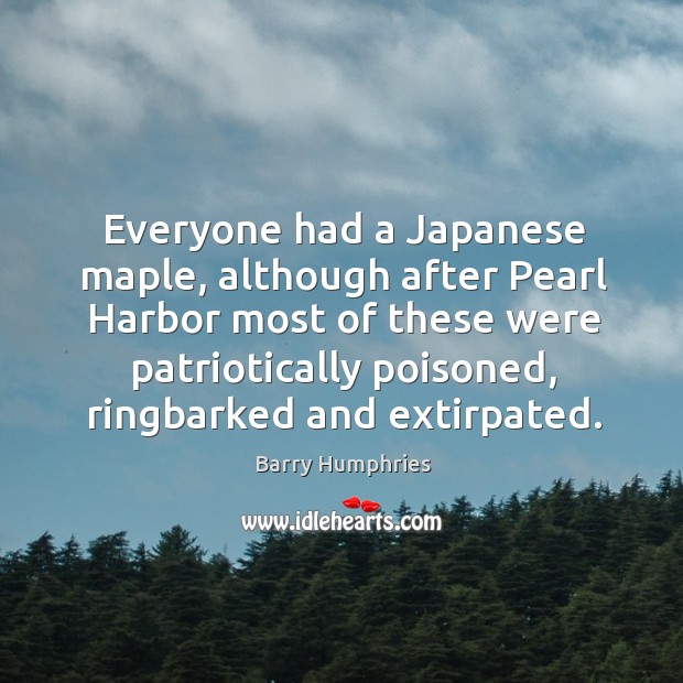 Everyone had a Japanese maple, although after Pearl Harbor most of these Image