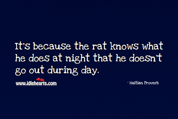 It’s because the rat knows what he does at night that he doesn’t go out during day. Haitian Proverbs Image