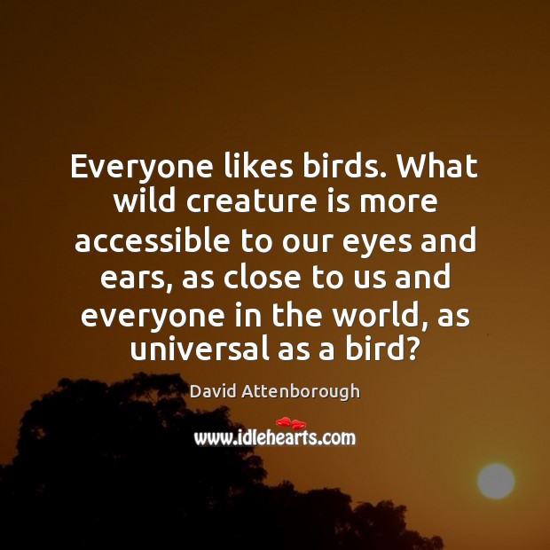 Everyone likes birds. What wild creature is more accessible to our eyes David Attenborough Picture Quote