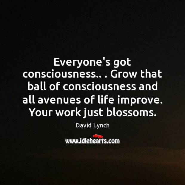 Everyone’s got consciousness.. . Grow that ball of consciousness and all avenues of David Lynch Picture Quote