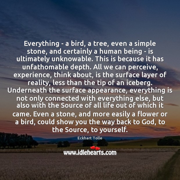 Everything – a bird, a tree, even a simple stone, and certainly Eckhart Tolle Picture Quote