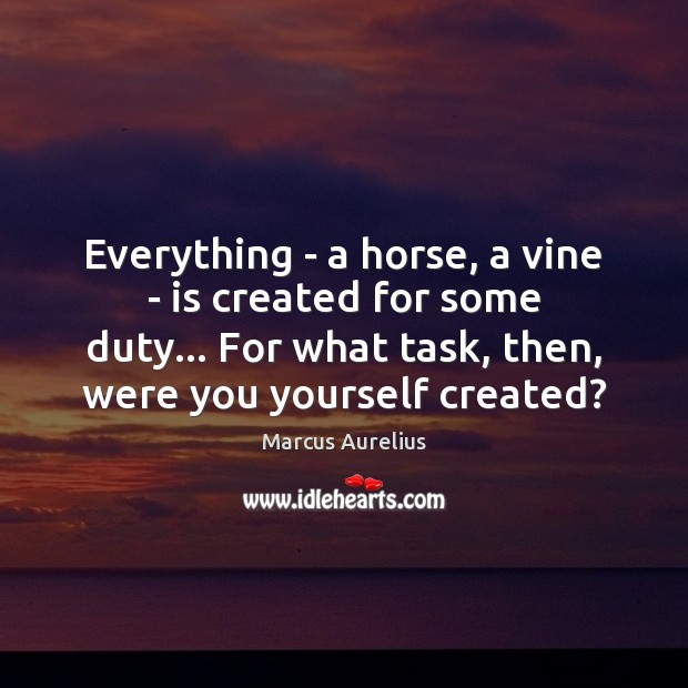 Everything – a horse, a vine – is created for some duty… Marcus Aurelius Picture Quote