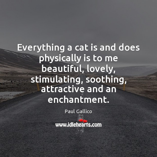 Everything a cat is and does physically is to me beautiful, lovely, Paul Gallico Picture Quote