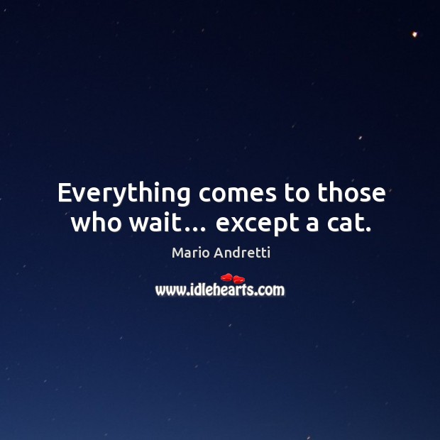 Everything comes to those who wait… except a cat. Mario Andretti Picture Quote