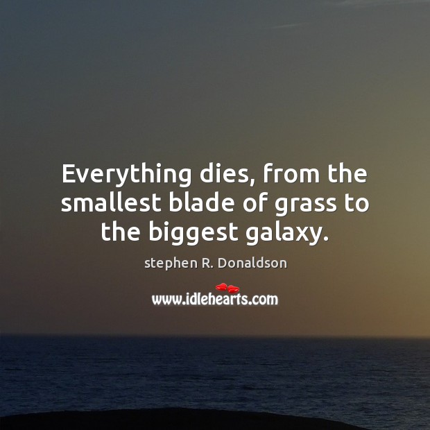 Everything dies, from the smallest blade of grass to the biggest galaxy. stephen R. Donaldson Picture Quote