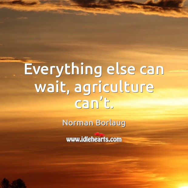 Everything else can wait, agriculture can’t. Norman Borlaug Picture Quote