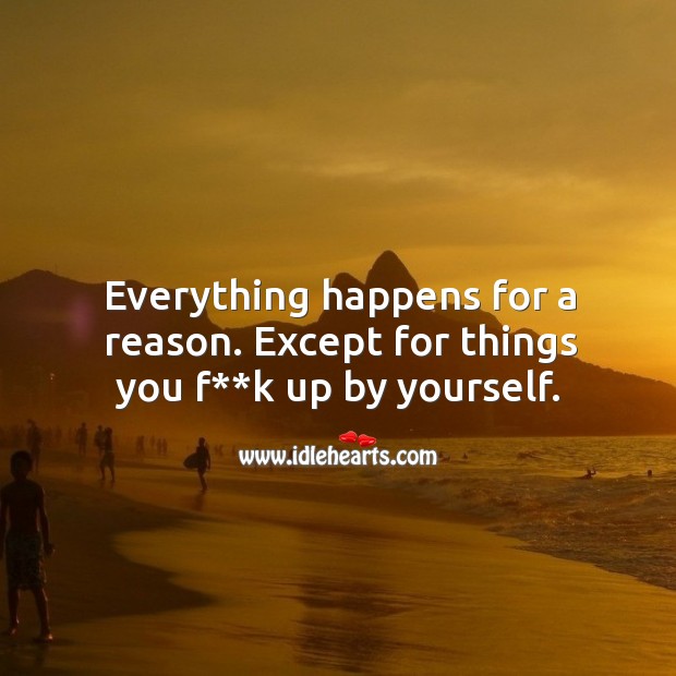 Everything happens for a reason. Except for things you f**k up by yourself. Image