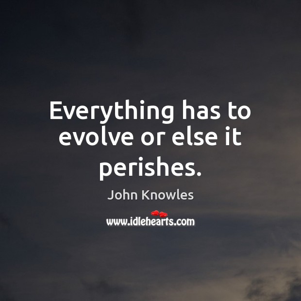 Everything has to evolve or else it perishes. Image