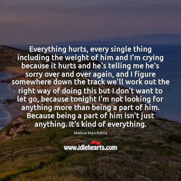 Everything hurts, every single thing including the weight of him and I’m Let Go Quotes Image