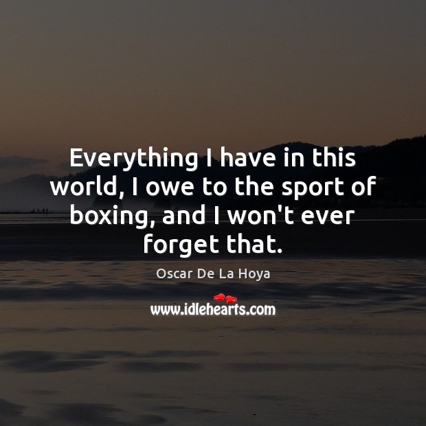 Everything I have in this world, I owe to the sport of Oscar De La Hoya Picture Quote
